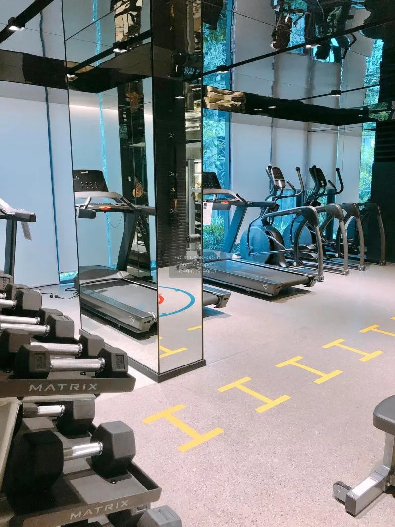 FOR RENT condo , Quintara Treehaus Sukhumvit 42 , nice view , BTS