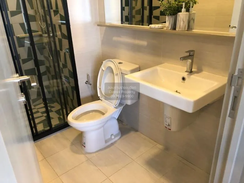 FOR RENT condo , The Base Sukhumvit 50 , nice view , BTS-On Nut ,