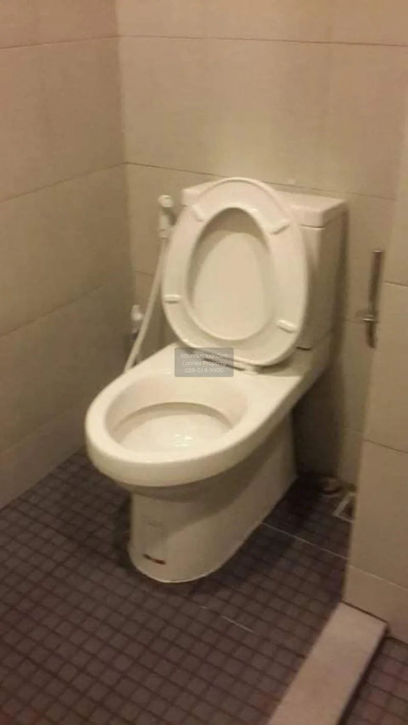 FOR RENT condo , Elio Del Ray Sukhumvit 64 , BTS-Punnawithi , Ban