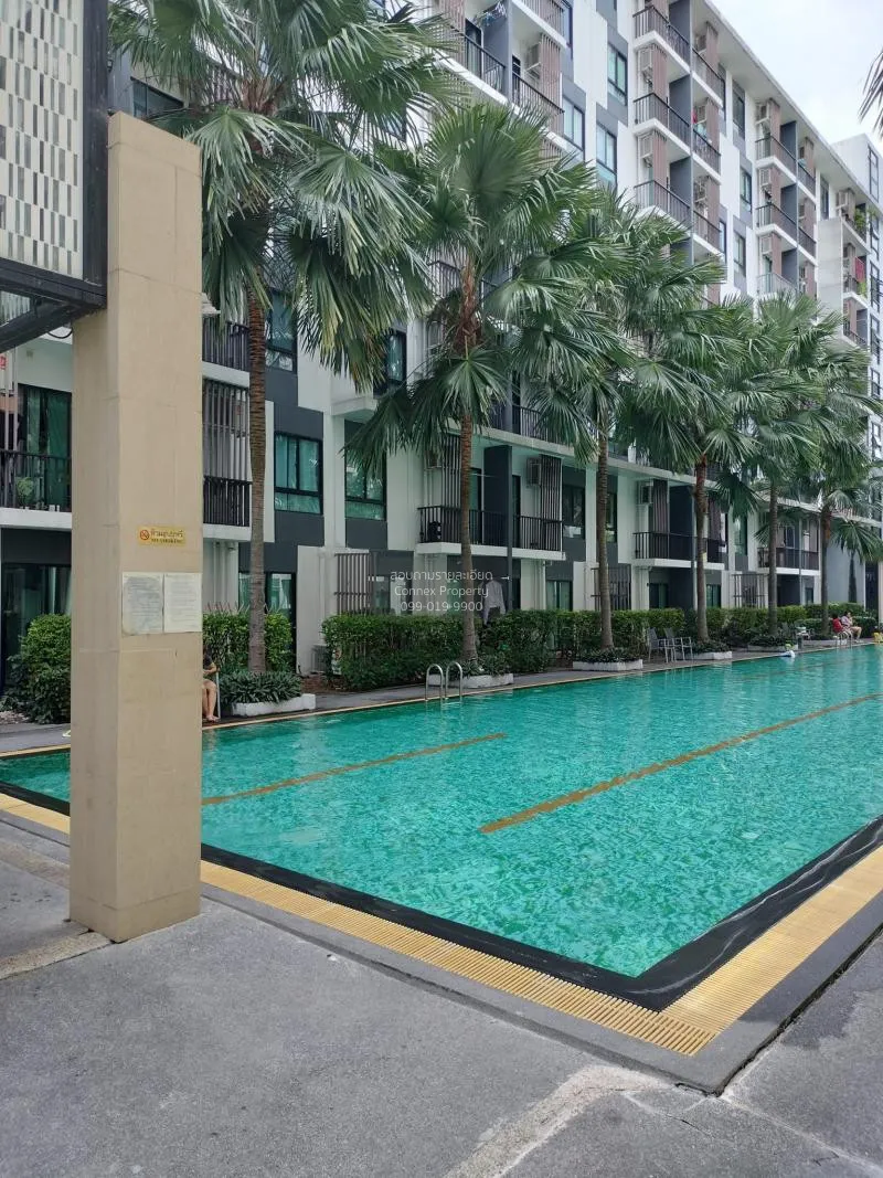 เช่าคอนโด  ไอ คอนโด สุขุมวิท 105 วิวสวย วิวแม่น้ำ BTS-บางนา บางนา