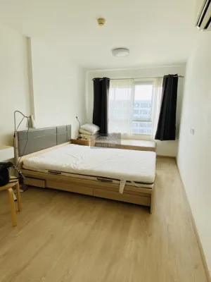 FOR RENT condo , Elio Del Ray Sukhumvit 64 , BTS-Punnawithi , Bang Chak , Phra Khanong , Bangkok , CX-53628