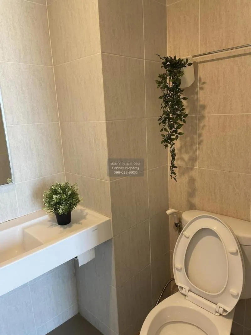 เช่าคอนโด  ลุมพินี วิลล์ สุขุมวิท 76 - แบริ่ง สเตชั่น 2 BTS-แบริ่