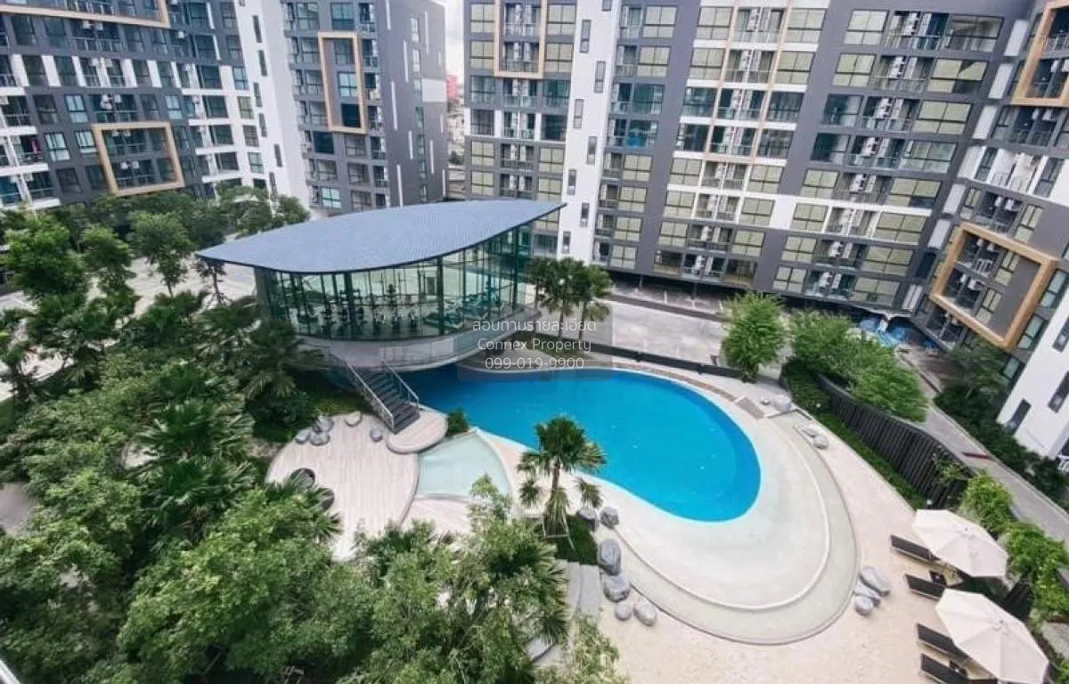 FOR RENT condo , Bangkok Horizon Lite @ Phetkasem 48 , MRT-Phetka