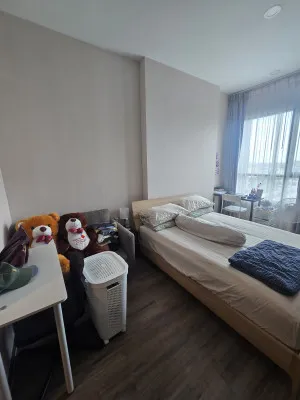 FOR RENT condo , Knightsbridge Collage Ramkhamhaeng , Hua Mak , Bang Kapi , Bangkok , CX-55477