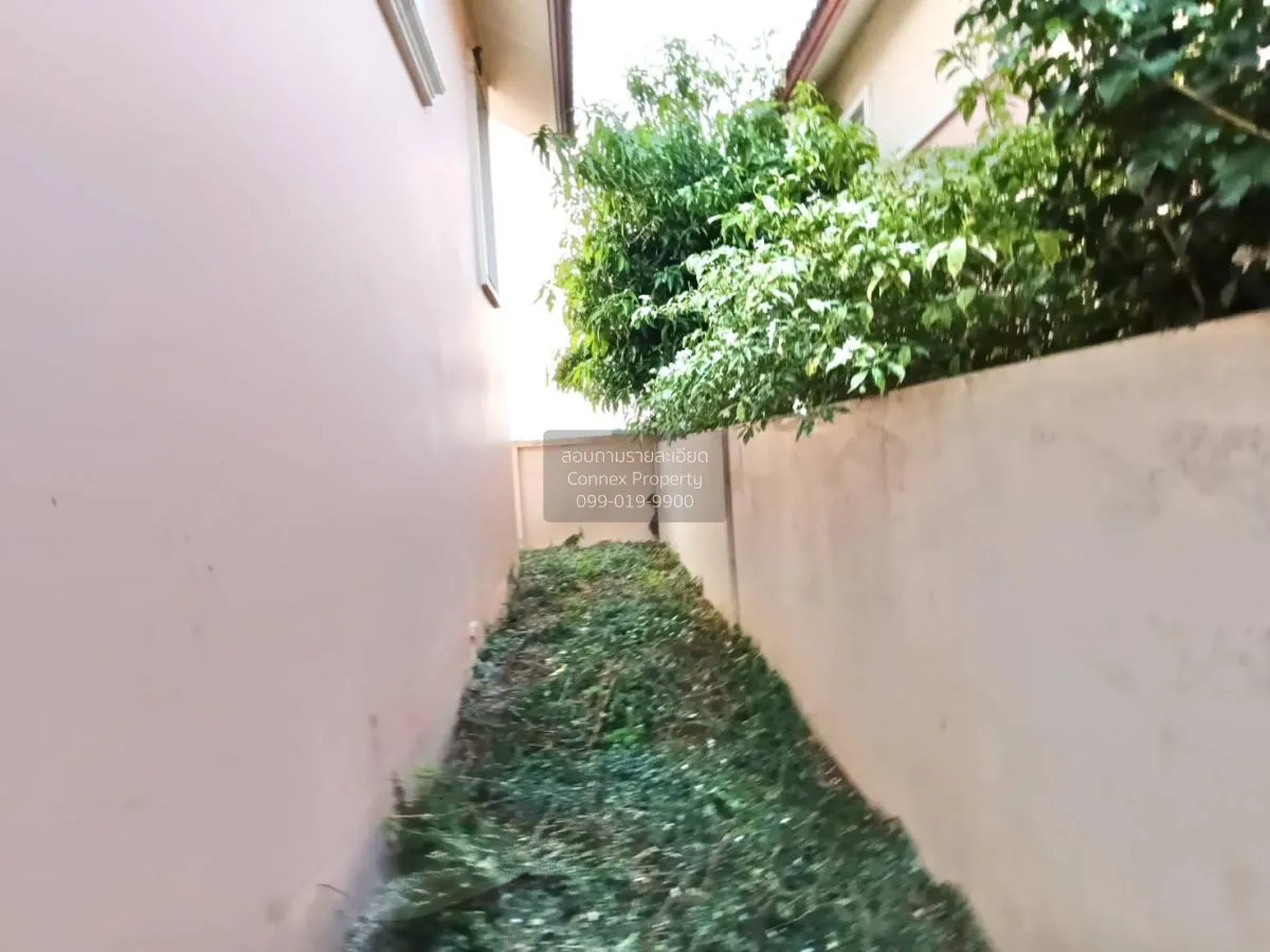 ขาย บ้านเดี่ยว เวสเทิร์นทาวน์ บ้านกล้วย ไทรน้อย ถนนกว้าง หลังบ้าน