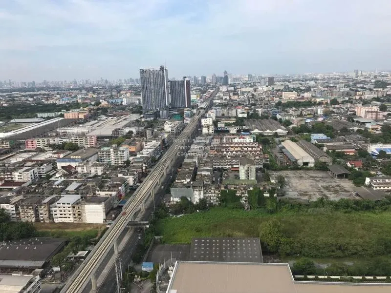 FOR RENT condo , Ideo Sukhumvit 115 , high floor , BTS-Pu Chao , 