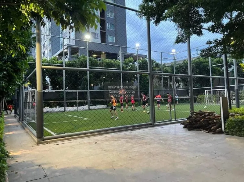 เช่าคอนโด  เดอะ ไลน์ วงศ์สว่าง ชั้นสูง MRT-วงศ์สว่าง วงศ์สว่าง เข