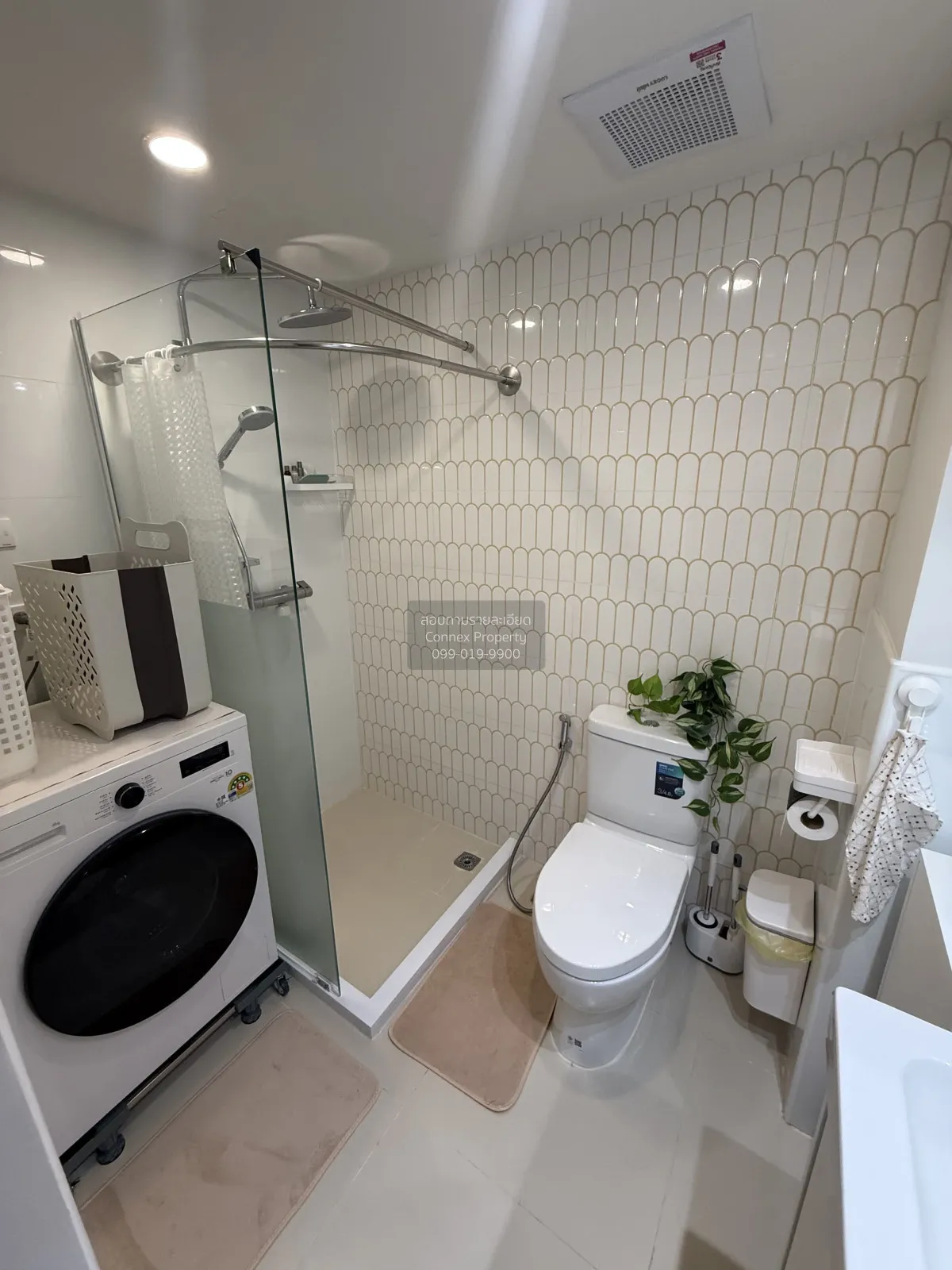 เช่าคอนโด  เซ็นทริค ซีน สุขุมวิท 64 ชั้นสูง BTS-อุดมสุข บางนา เขต