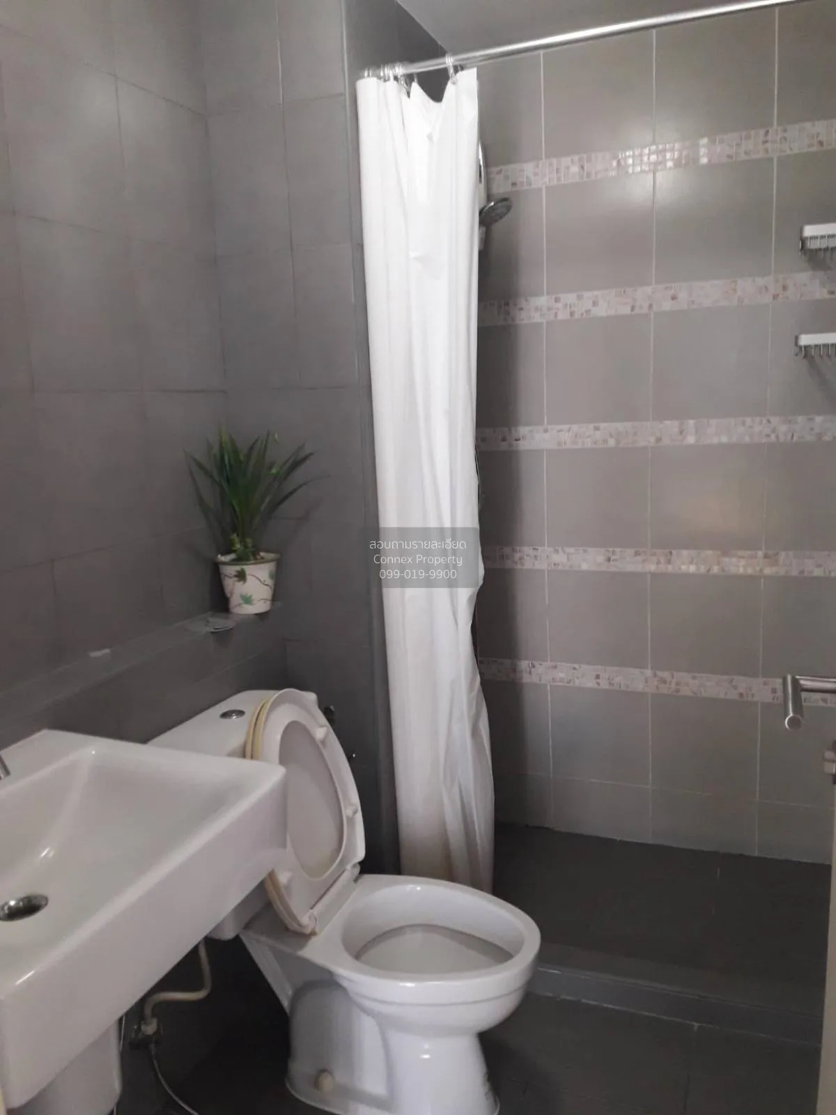 For Rent Condo , Dcondo Campus Resort Bangna , Bang Bo , Bang Bo 