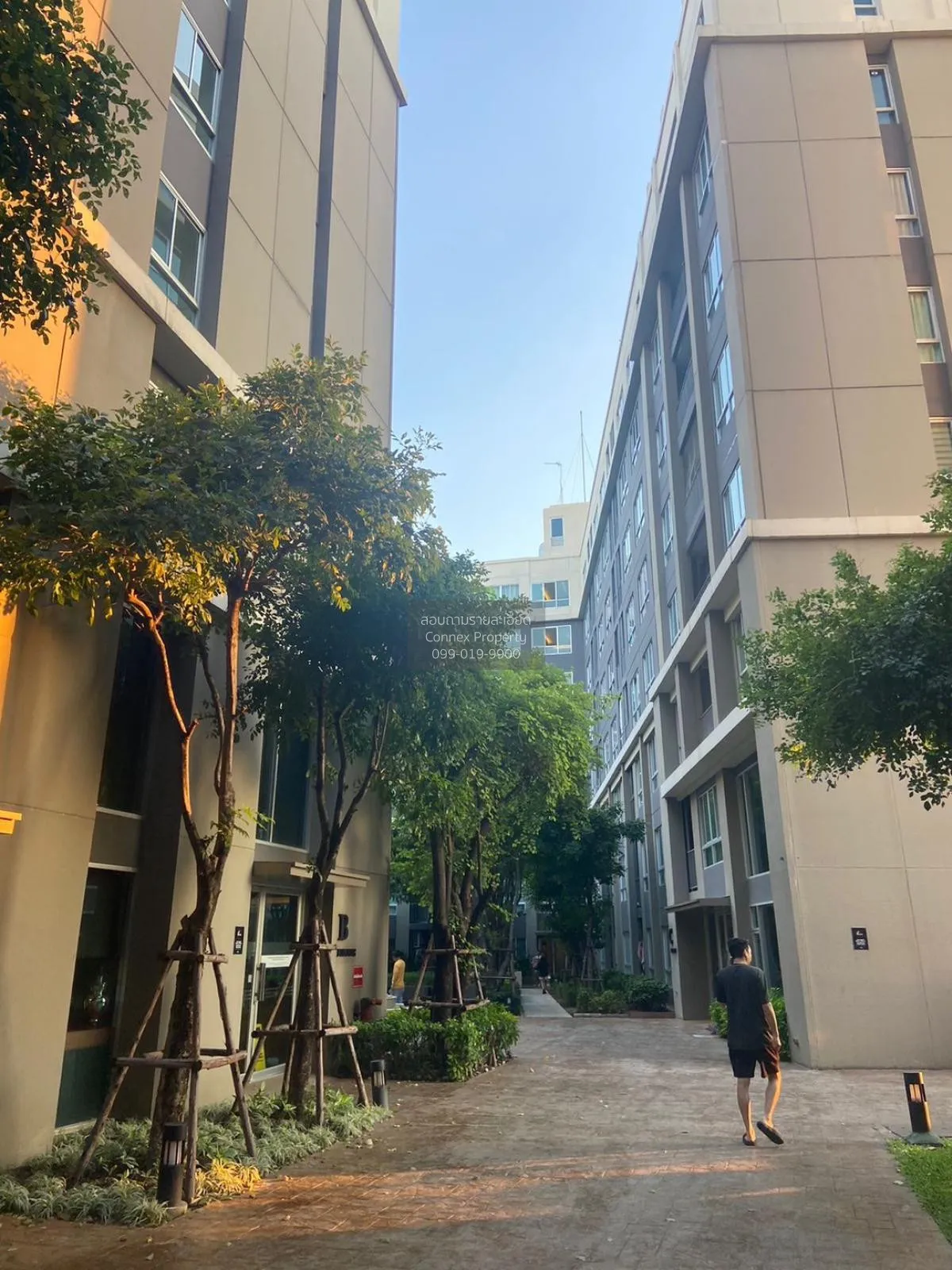 For Rent Condo , D Condo Campus Resort Ratchapruek - Charan 13 , 