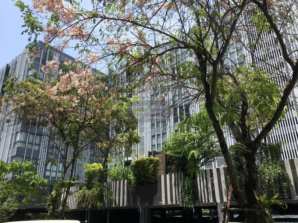 เช่าคอนโด  โมนีค สุขุมวิท 64 BTS-ปุณณวิถี บางจาก เขต พระโขนง กรุง