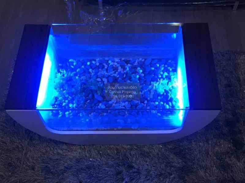 FOR RENT condo , Nye by Sansiri , BTS-Wongwian Yai , Khlong Ton S