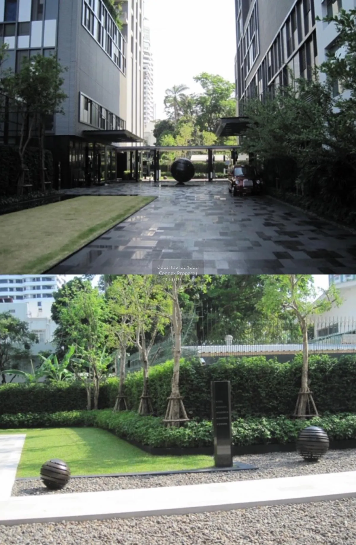 For Rent Condo , Quattro by Sansiri , BTS-Thong Lo , Khlong Tan N