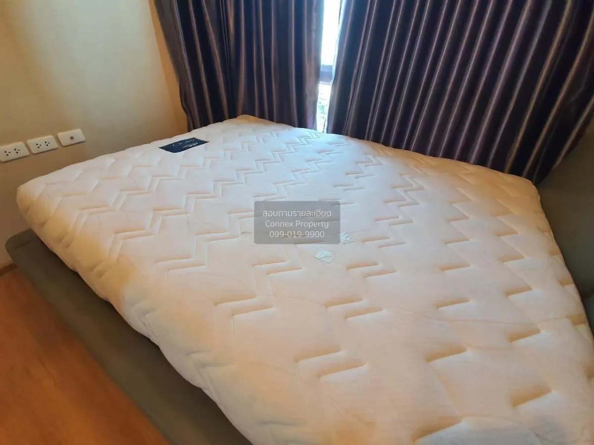 เช่าคอนโด  เดอะ เบส สุขุมวิท 77 BTS-อ่อนนุช พระโขนงเหนือ เขต วัฒน