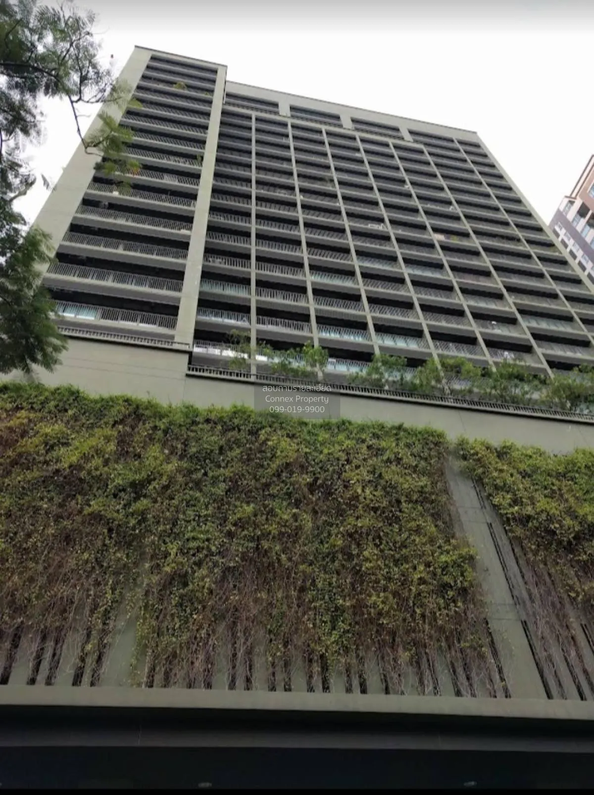 ขายคอนโด  โนเบิล โซโล BTS-ทองหล่อ คลองตันเหนือ เขต วัฒนา กรุงเทพ 