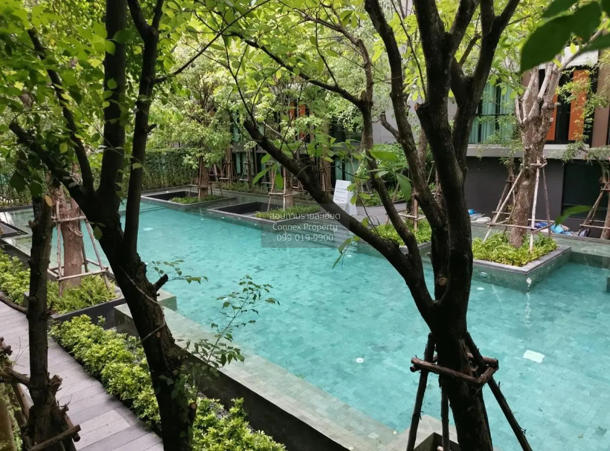 เช่าคอนโด  วีธารา สุขุมวิท 36 BTS-ทองหล่อ พระโขนง เขต คลองเตย กรุ