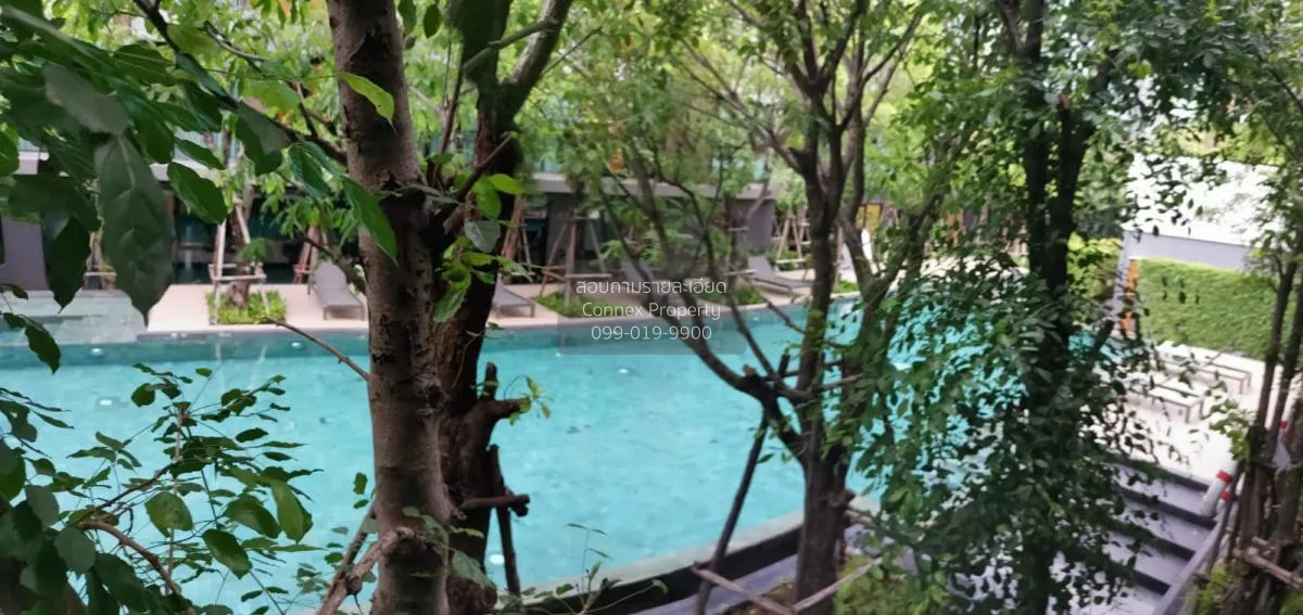 เช่าคอนโด  วีธารา สุขุมวิท 36 BTS-ทองหล่อ พระโขนง เขต คลองเตย กรุ