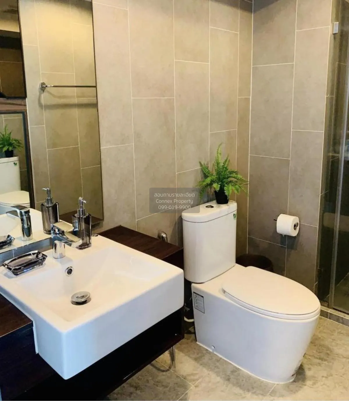 เช่าคอนโด  ซี เอกมัย ดูเพล็กซ์ ชั้นสูง BTS-เอกมัย คลองตันเหนือ เข