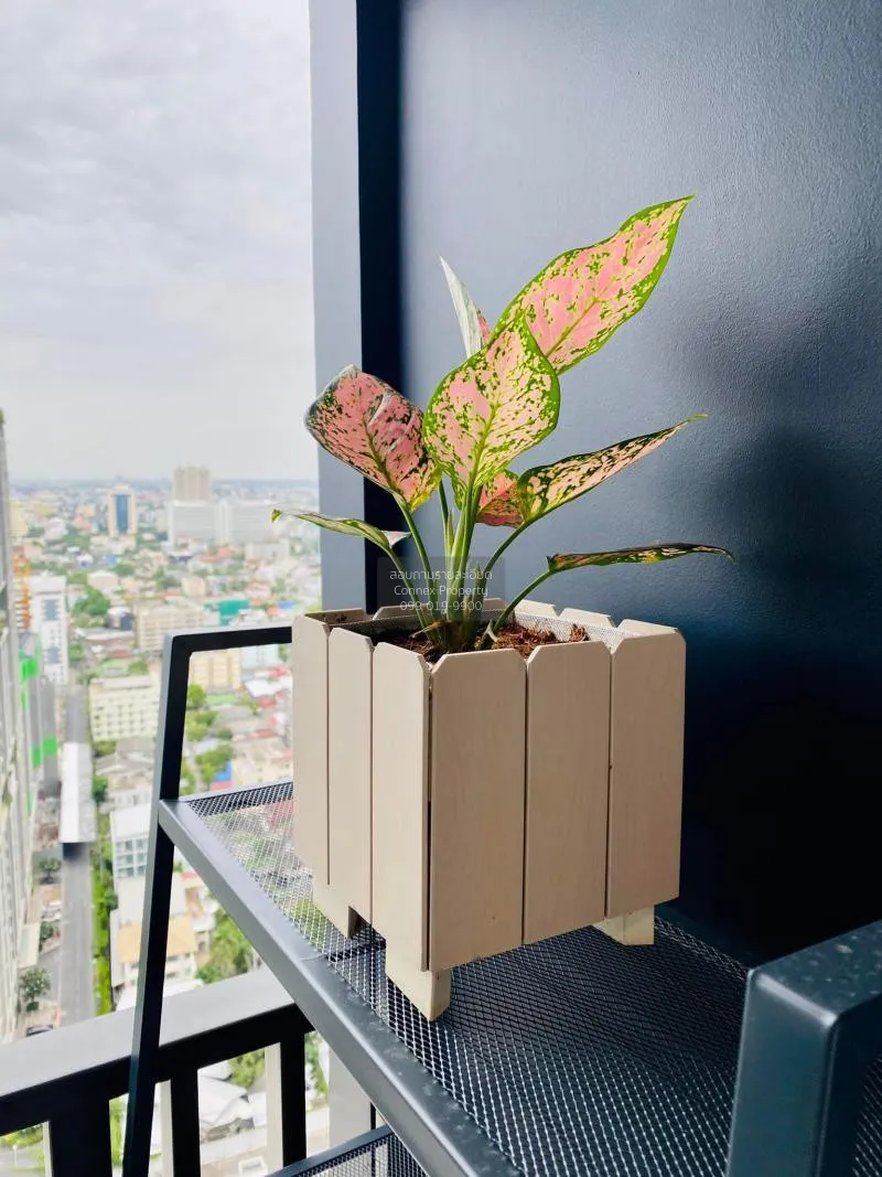 FOR RENT condo , Life Ladprao , BTS-Ha Yaek Lat Phrao , Chomphon 