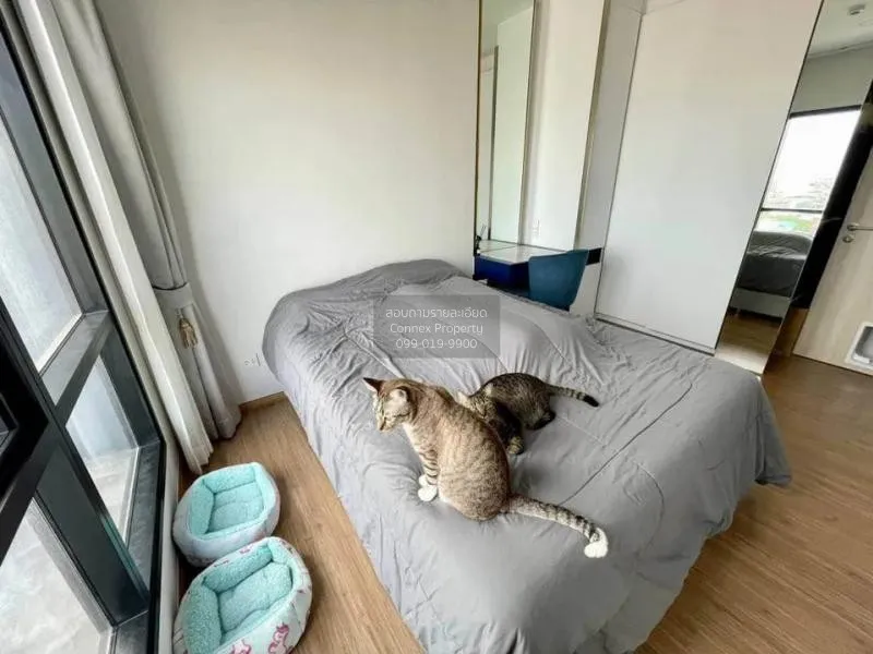 FOR RENT condo , Metris Rama 9 - Ramkhamhaeng , ARL-Ramkhamhaeng 