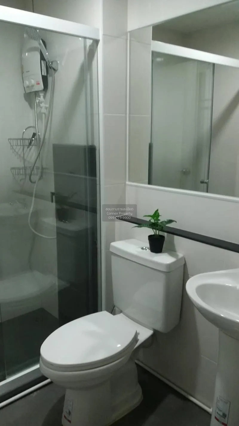 เช่าคอนโด  รีเจ้นท์ โฮม สุขุมวิท 81 BTS-อ่อนนุช สวนหลวง เขต สวนหล