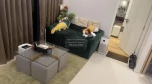 FOR SALE condo , M Ladprao , BTS-Ha Yaek Lat Phrao , Chomphon , Chatuchak , Bangkok , CX-75880