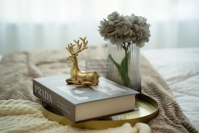 ขายคอนโด  ดี คอนโด รามคำแหง 64 หัวหมาก เขต บางกะปิ กรุงเทพ CX-767