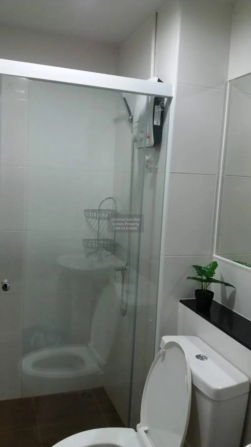 เช่าคอนโด  รีเจ้นท์ โฮม สุขุมวิท 81 BTS-อ่อนนุช สวนหลวง เขต สวนหล