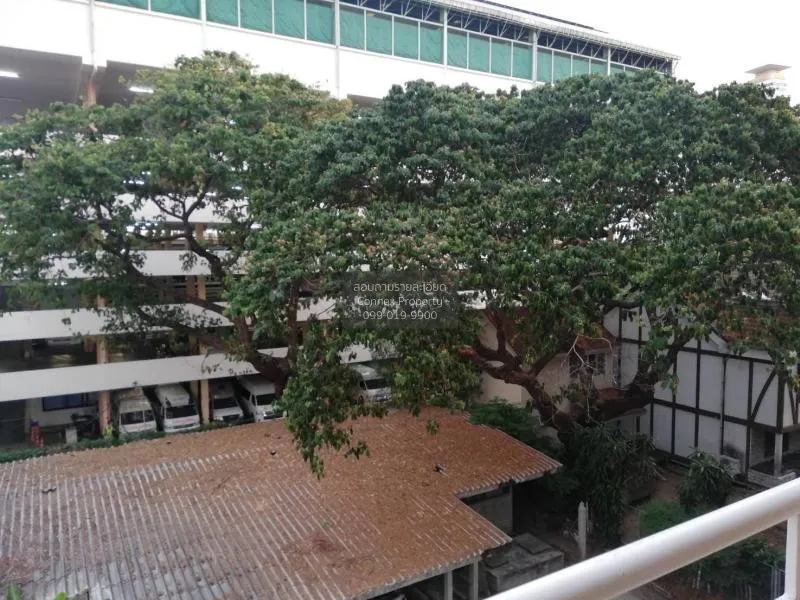 เช่าคอนโด  ดิ แอมเมธิส สุขุมวิท 39 BTS-พร้อมพงษ์ คลองตันเหนือ เขต