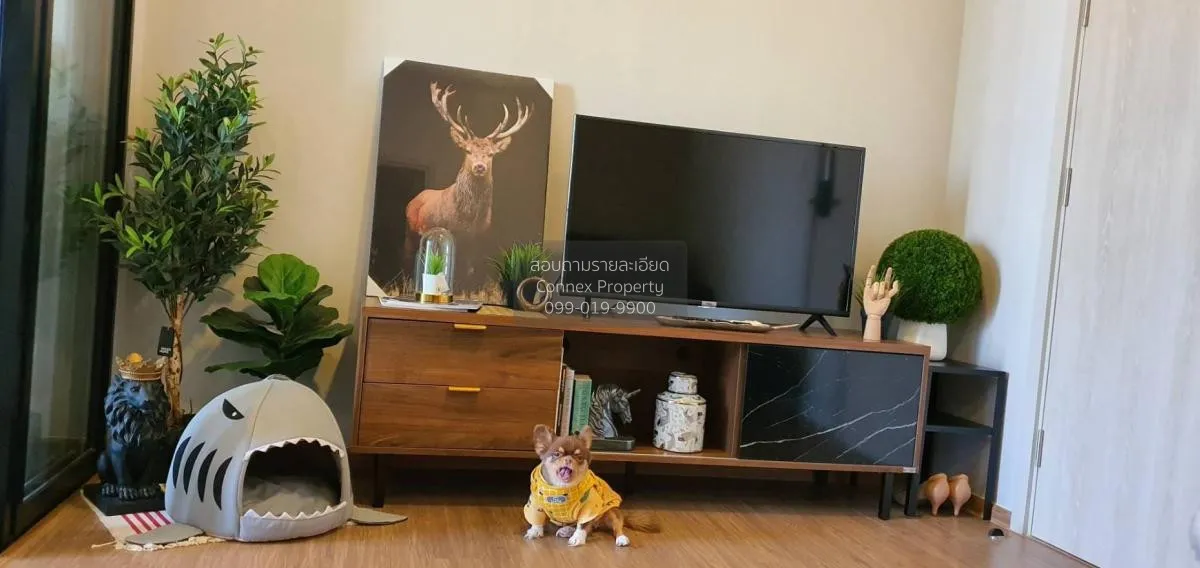 FOR RENT condo , Metris Rama 9 - Ramkhamhaeng , ARL-Ramkhamhaeng  1