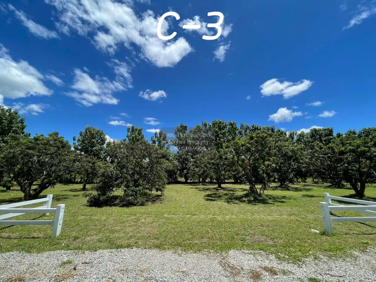 ขายที่ดินเปล่า  สบเตี๊ยะ จอมทอง เชียงใหม่ CX-81055 1