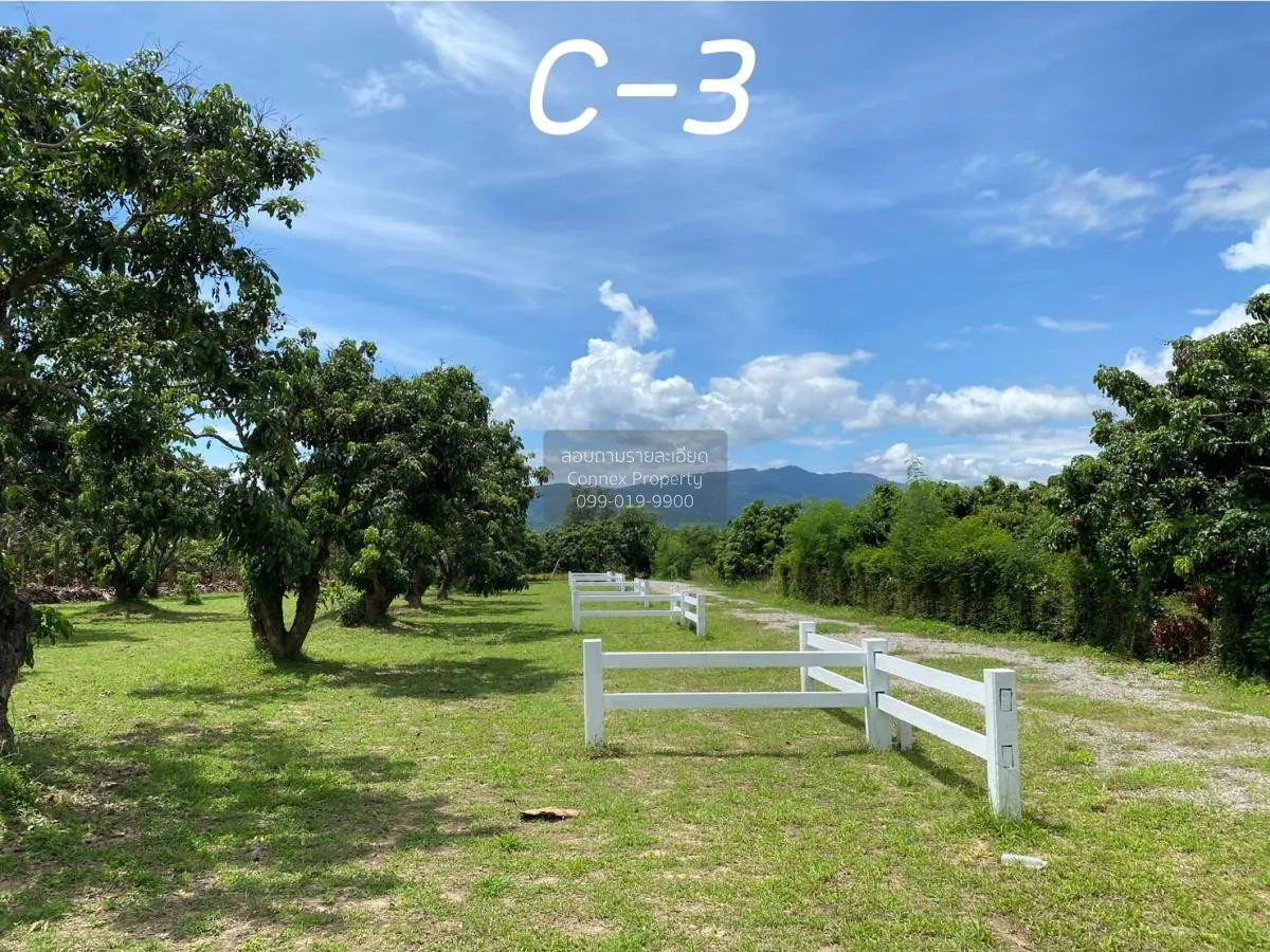 ขายที่ดินเปล่า  สบเตี๊ยะ จอมทอง เชียงใหม่ CX-81055 2