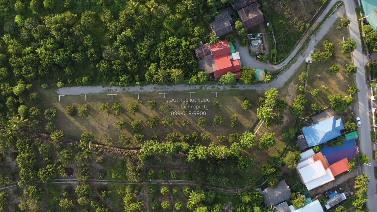 ขายที่ดินเปล่า  สบเตี๊ยะ จอมทอง เชียงใหม่ CX-81060 3