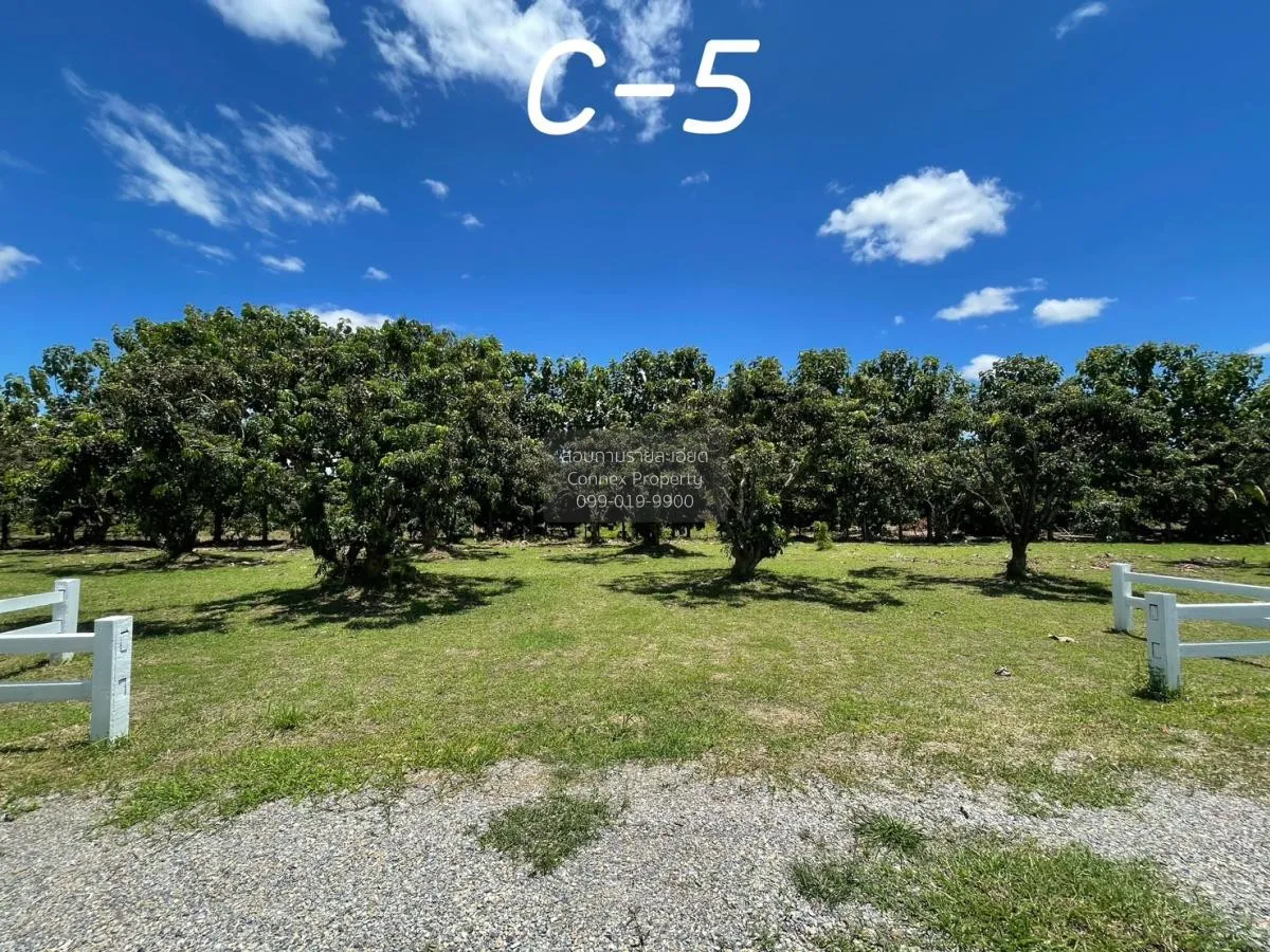 ขายที่ดินเปล่า  สบเตี๊ยะ จอมทอง เชียงใหม่ CX-81060 1