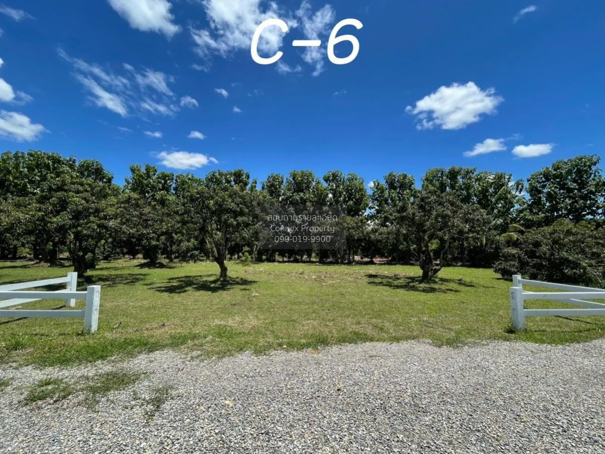 ขายที่ดินเปล่า  สบเตี๊ยะ จอมทอง เชียงใหม่ CX-81061 1