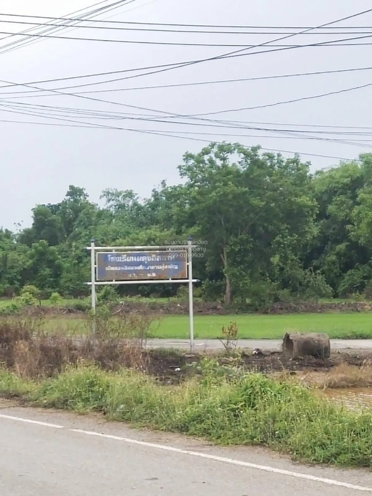 FOR SALE land , Sisa Thong , Ongkharak , Nakhon Nayok , CX-81160
