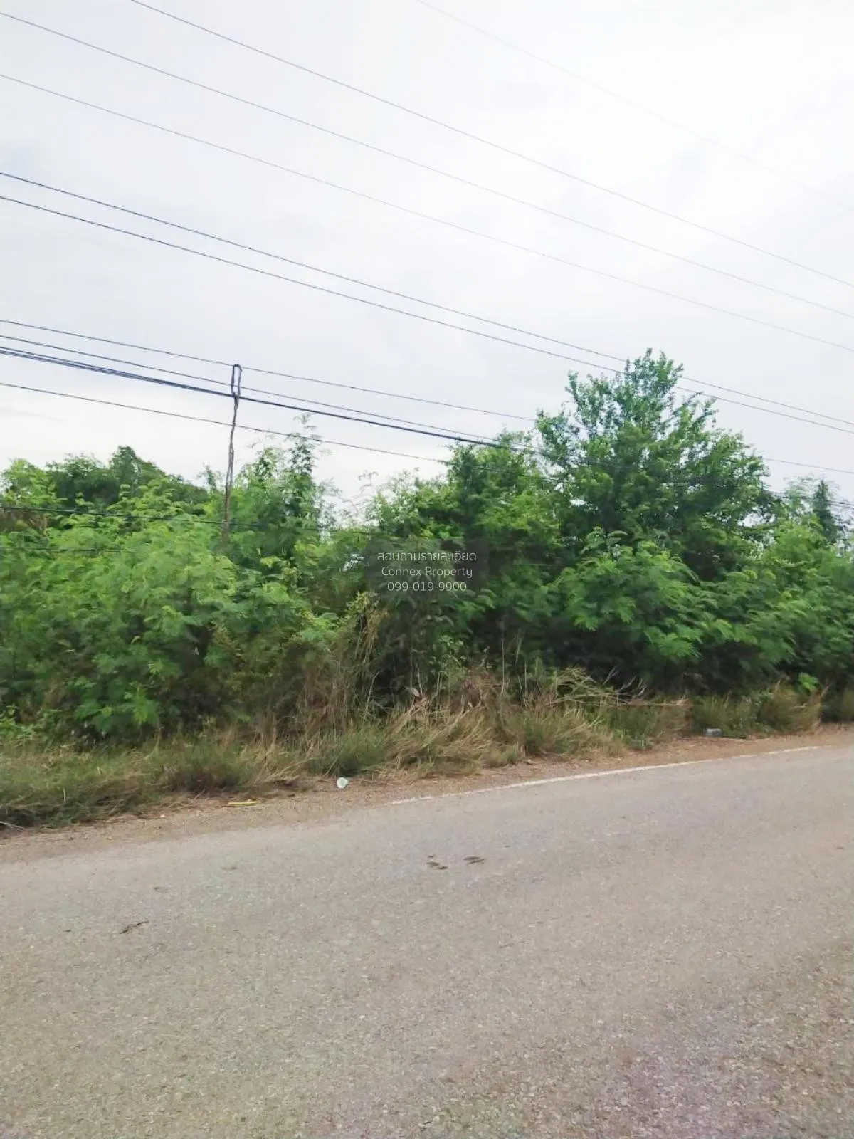 FOR SALE land , Sisa Thong , Ongkharak , Nakhon Nayok , CX-81160 4