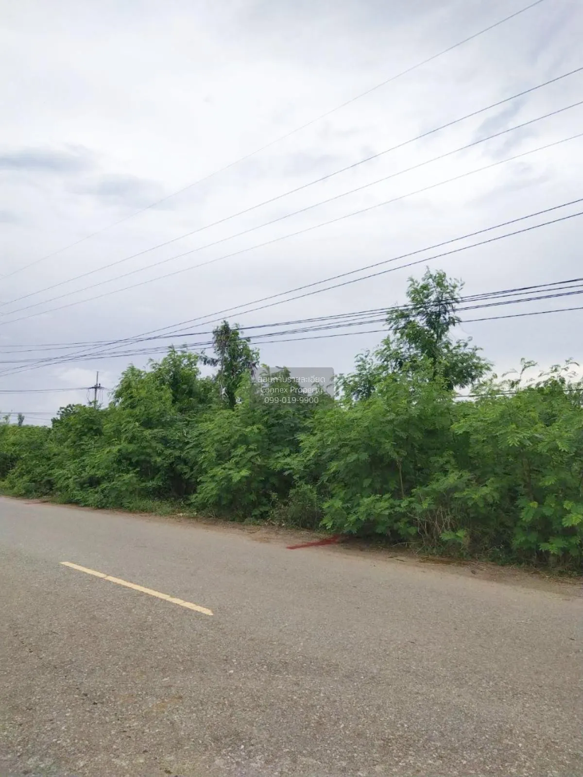 FOR SALE land , Sisa Thong , Ongkharak , Nakhon Nayok , CX-81160