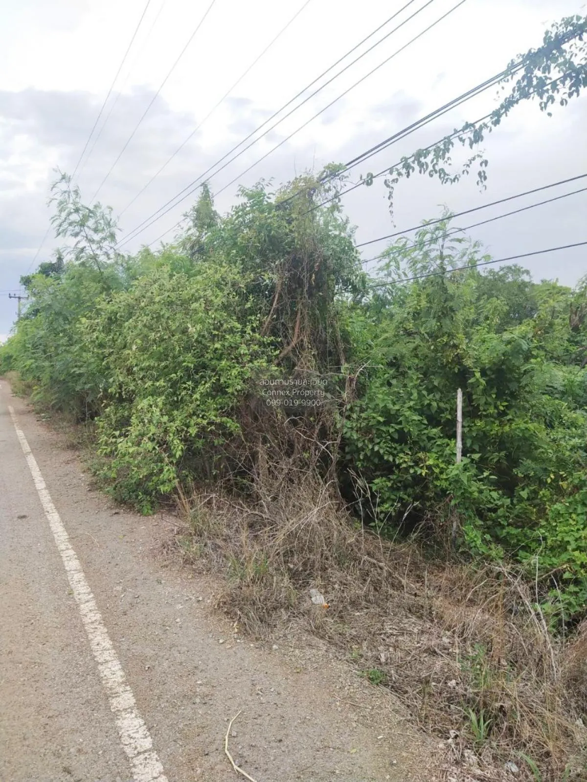 FOR SALE land , Sisa Thong , Ongkharak , Nakhon Nayok , CX-81160