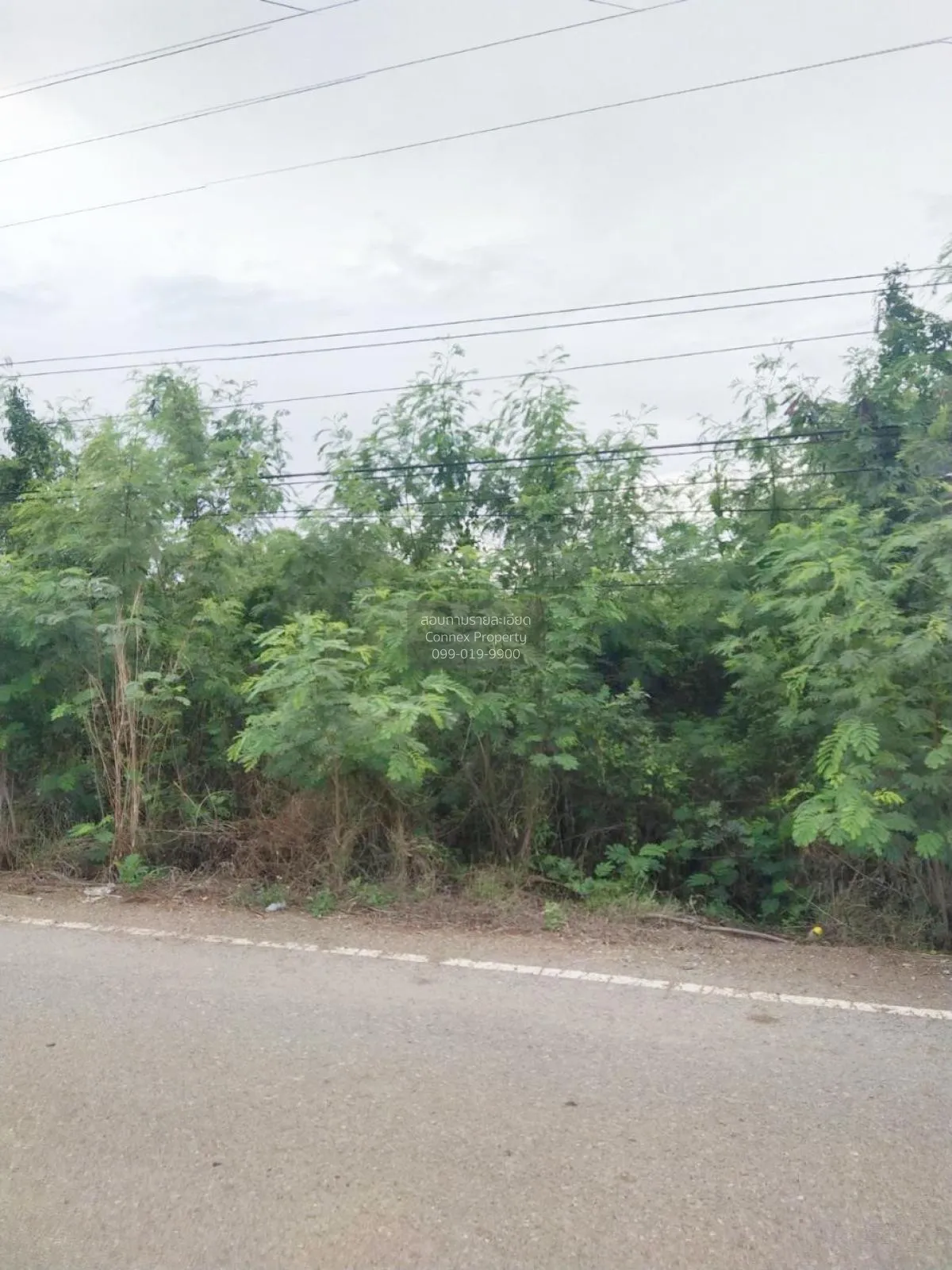 FOR SALE land , Sisa Thong , Ongkharak , Nakhon Nayok , CX-81160