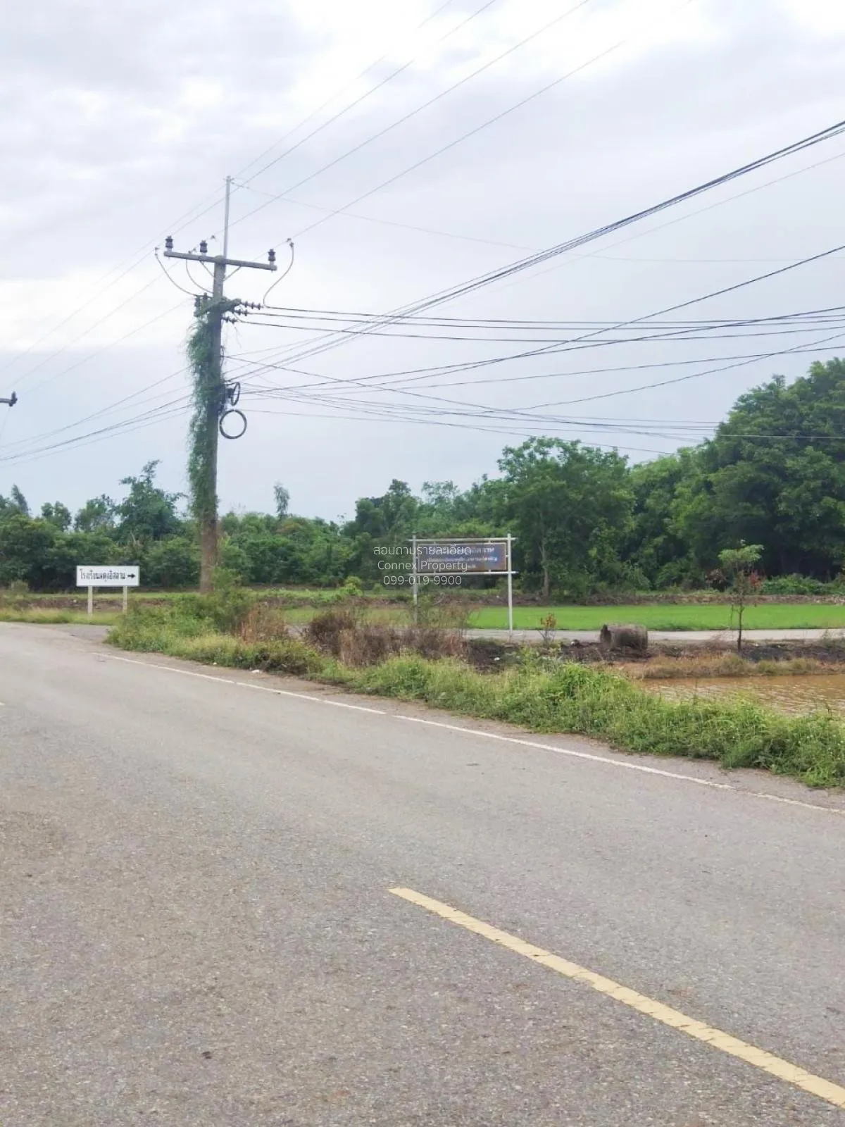 FOR SALE land , Sisa Thong , Ongkharak , Nakhon Nayok , CX-81160