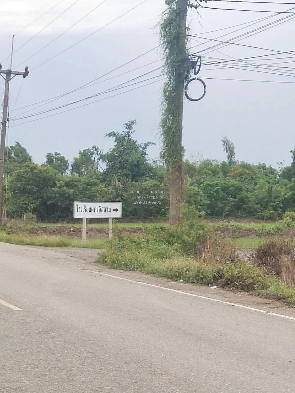 FOR SALE land , Sisa Thong , Ongkharak , Nakhon Nayok , CX-81160