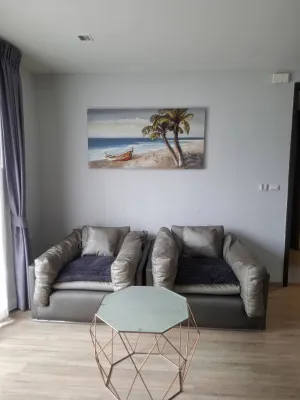 FOR RENT Condo , The Base Garden Rama 9 , ARL-Ramkhamhaeng , Hua Mak , Bang Kapi , Bangkok , CX-81554