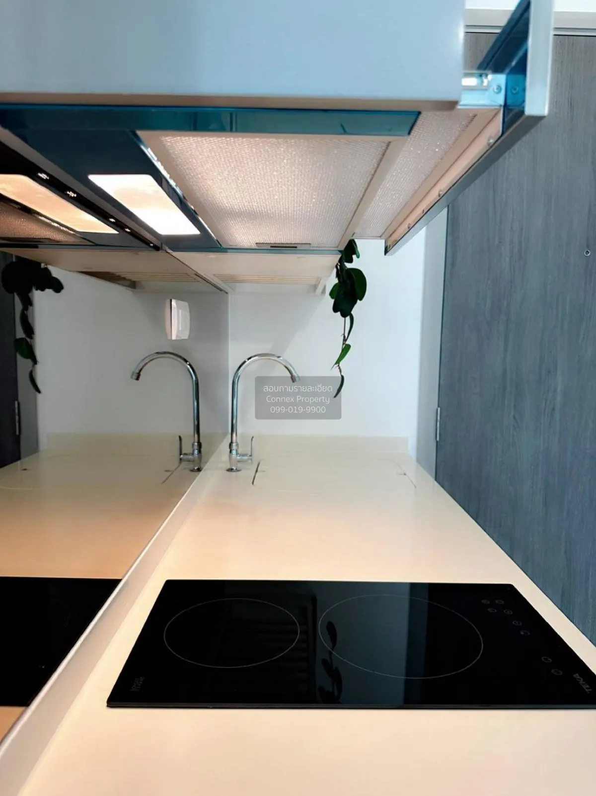 FOR RENT Condo , The Rich Rama 9 - Srinakarin , ARL-Hua Mak , Sua