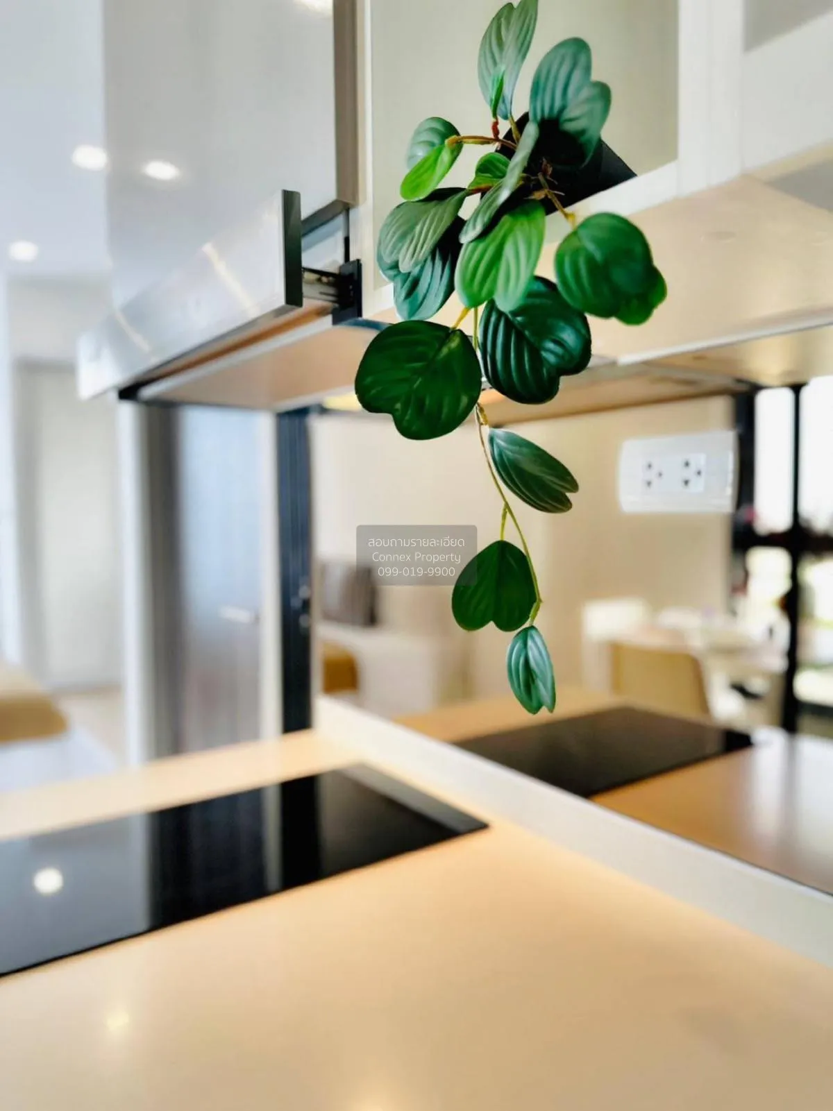 For Rent Condo , The Rich Rama 9 - Srinakarin , ARL-Hua Mak , Sua