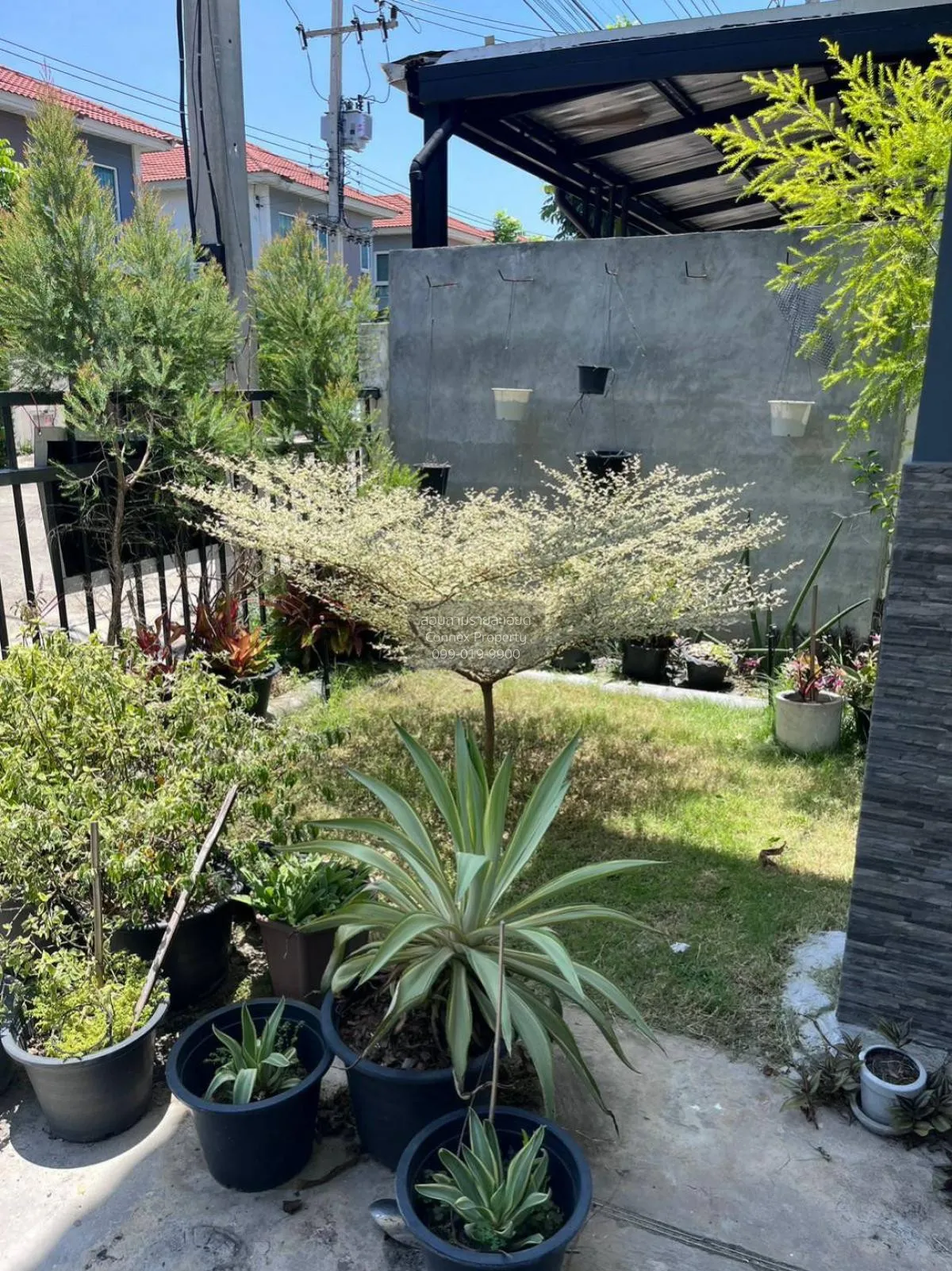 เช่าบ้าน  ศุภาลัย เบลล่า รังสิต-คลอง 2 ประชาธิปัตย์ ธัญบุรี ปทุมธ