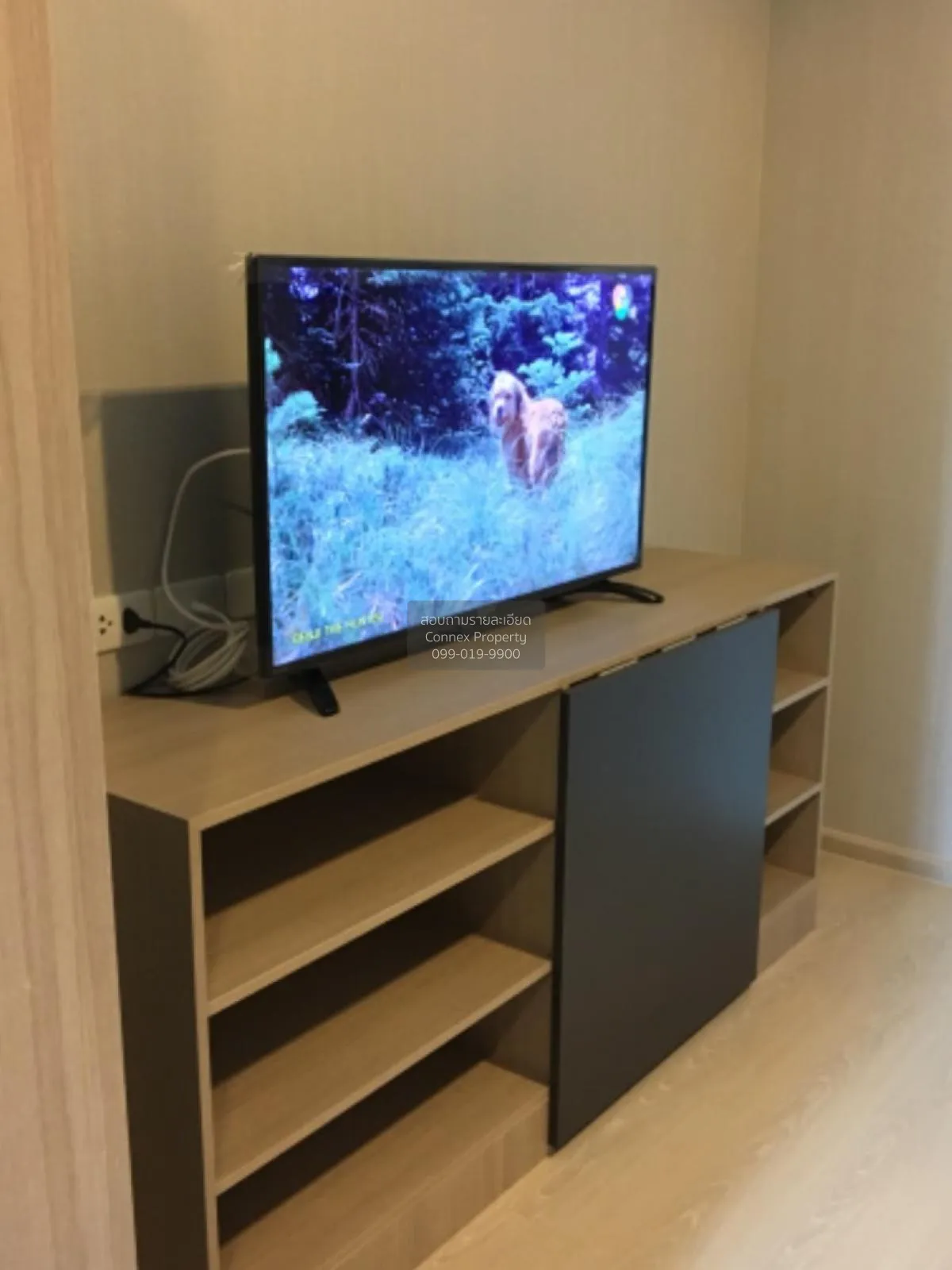 For Rent Condo , Ideo Sukhumvit 115 , BTS-Pu Chao , Thepharak , M 4