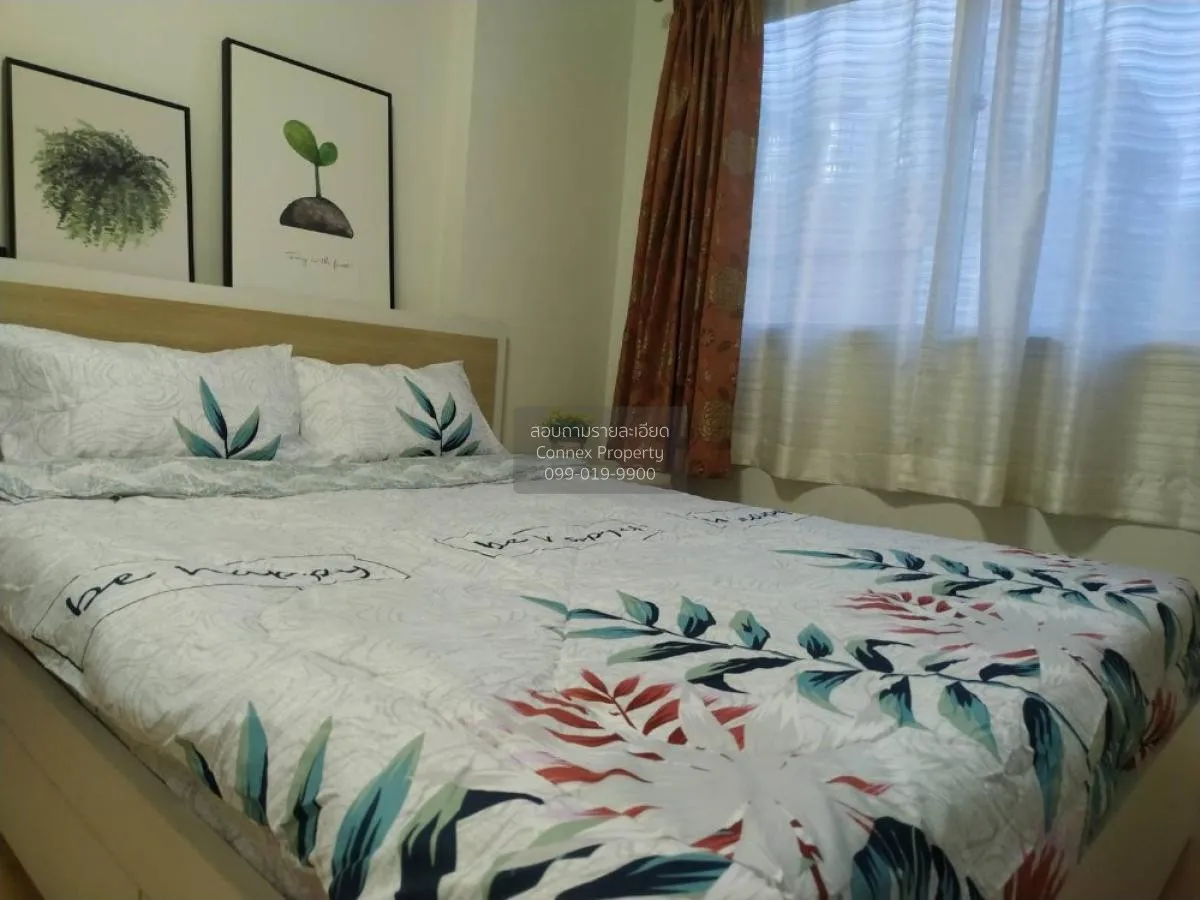 For Rent Condo , My Condo Sukhumvit 81 , BTS-On Nut , Bang Chak ,