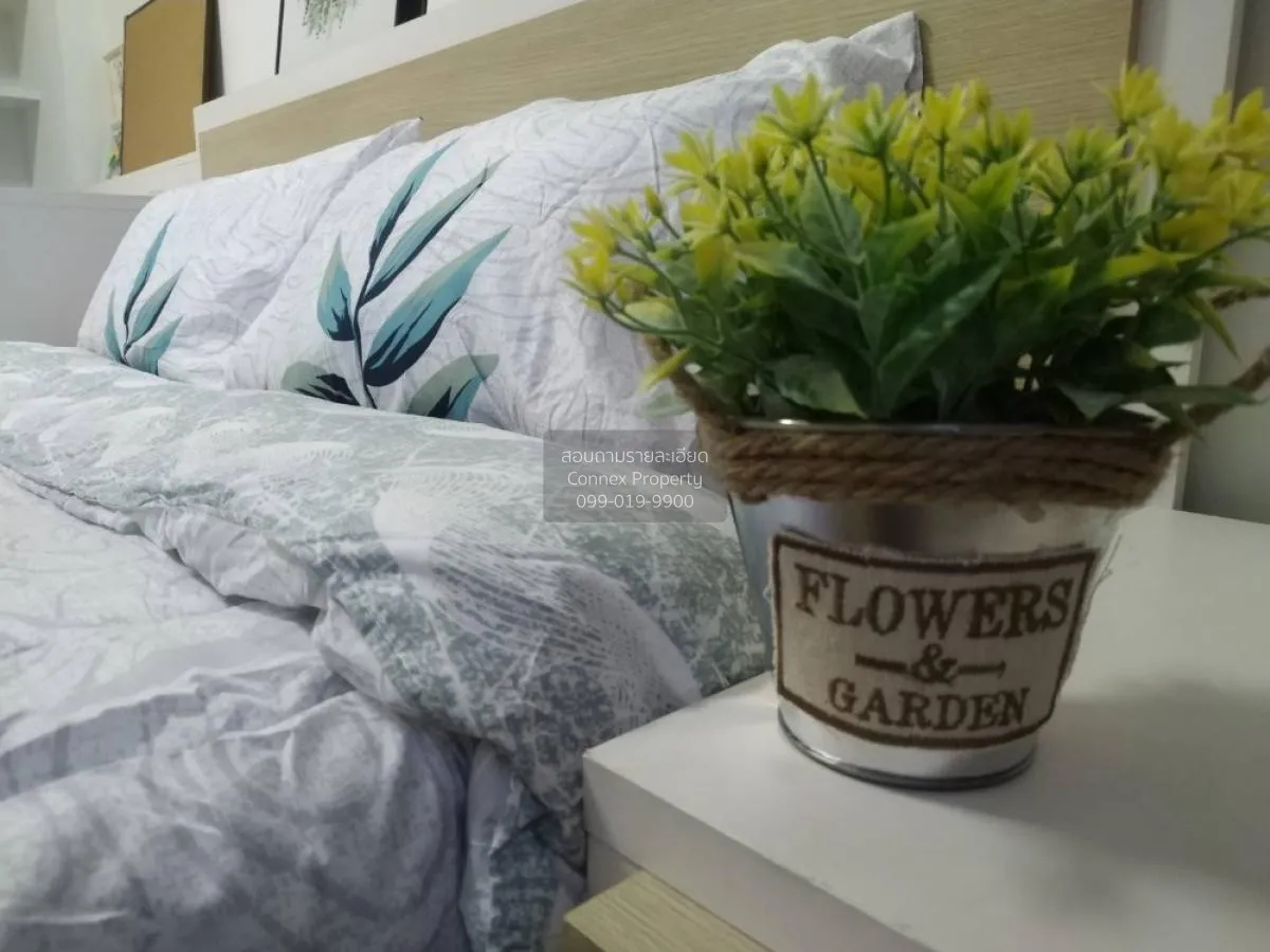 For Rent Condo , My Condo Sukhumvit 81 , BTS-On Nut , Bang Chak ,