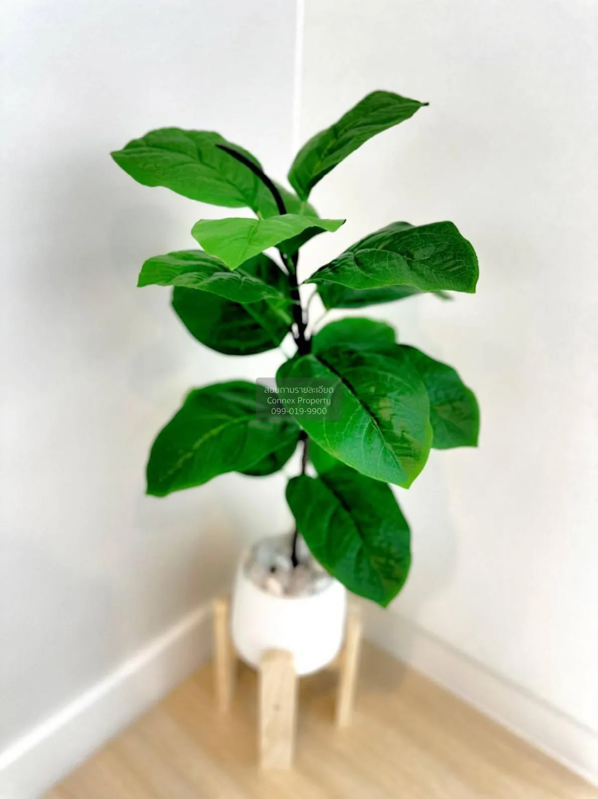 เช่าคอนโด  เมโทร สกาย วุฒากาศ BTS-วุฒากาศ ตลาดพลู เขต ธนบุรี กรุง